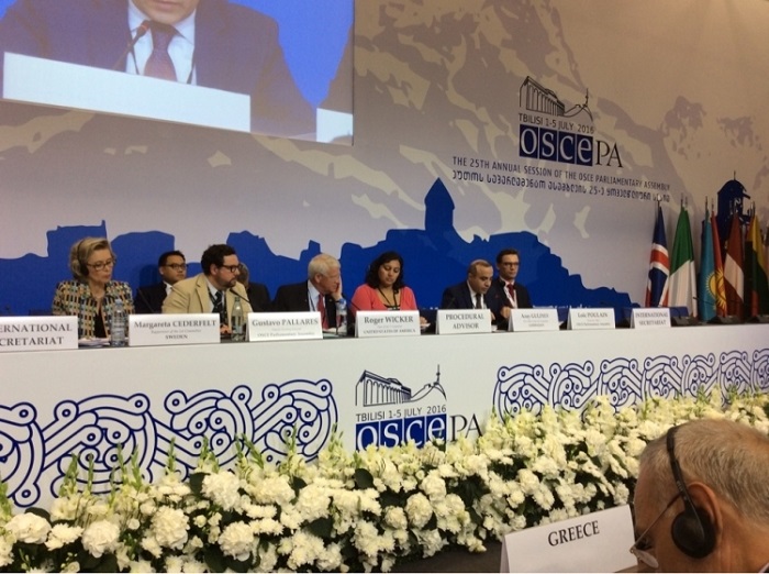 Protracted conflicts discussed at OSCE PA committee meeting 